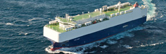VIKING_AMBER_240x78.jpg